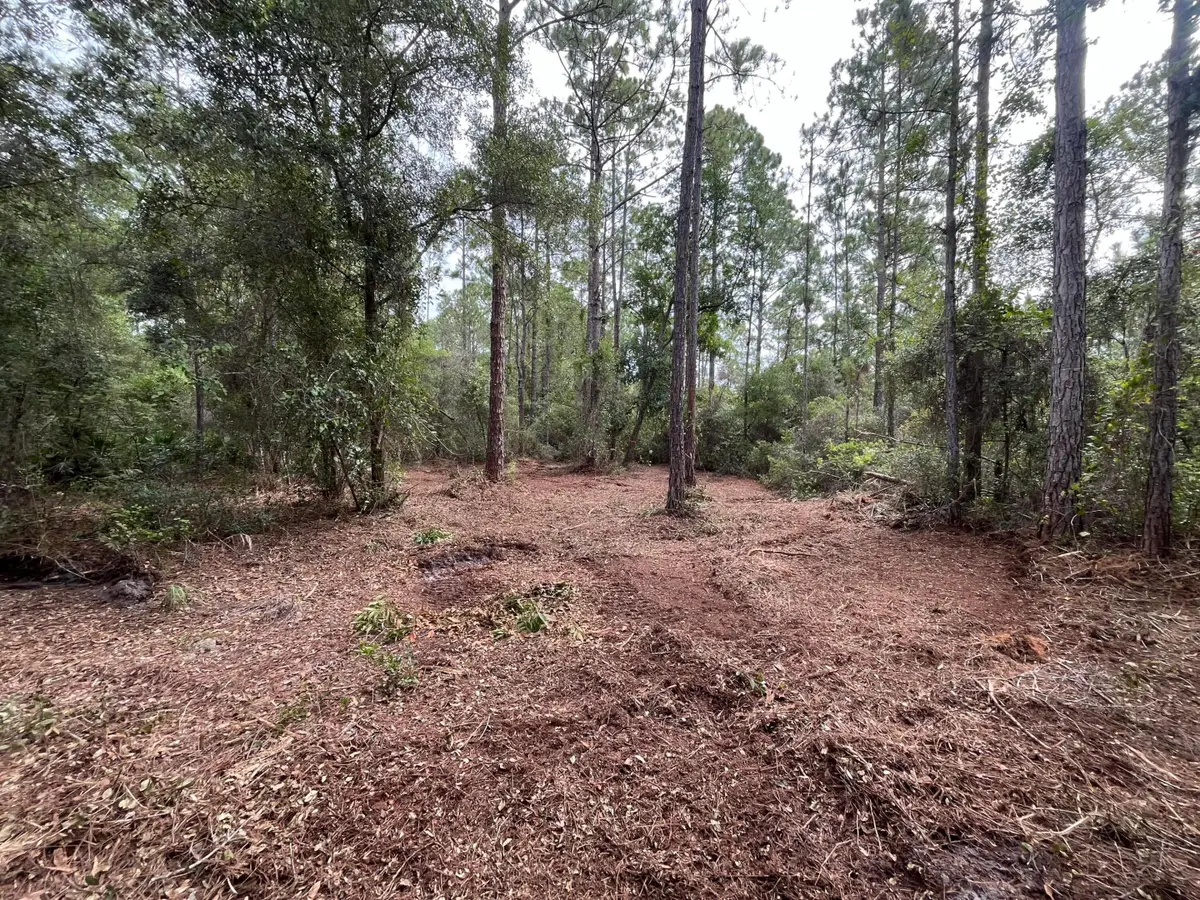 122 Glenside Street, Georgetown, FL 32139 - #1