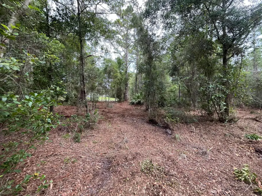 122 Glenside Street, Georgetown, FL 32139 - #2