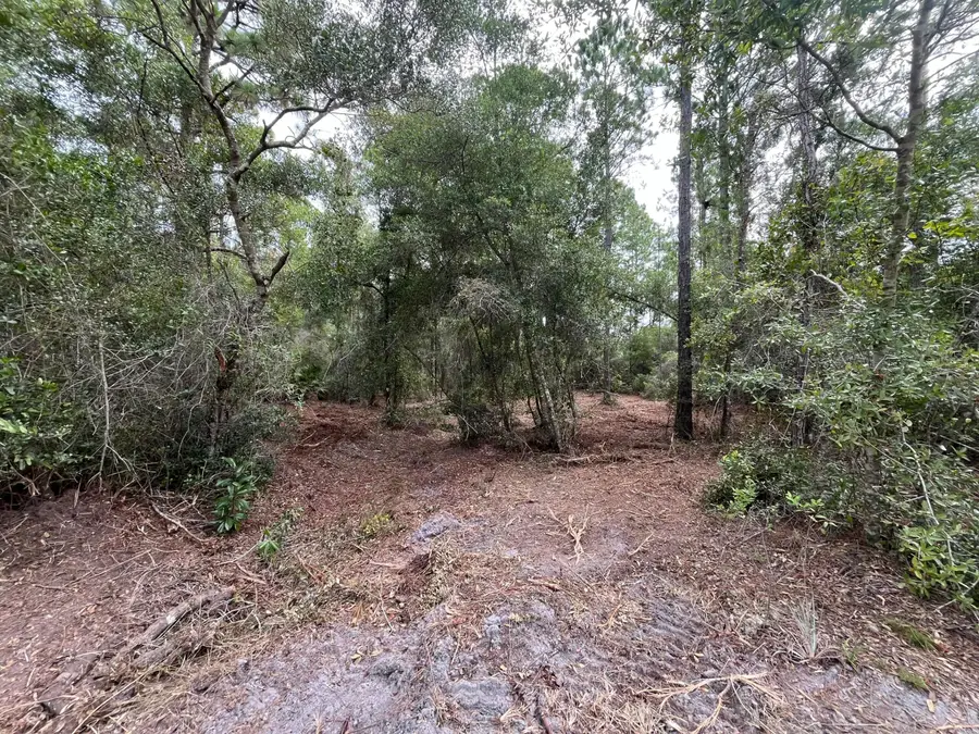 122 Glenside Street, Georgetown, FL 32139 - #3