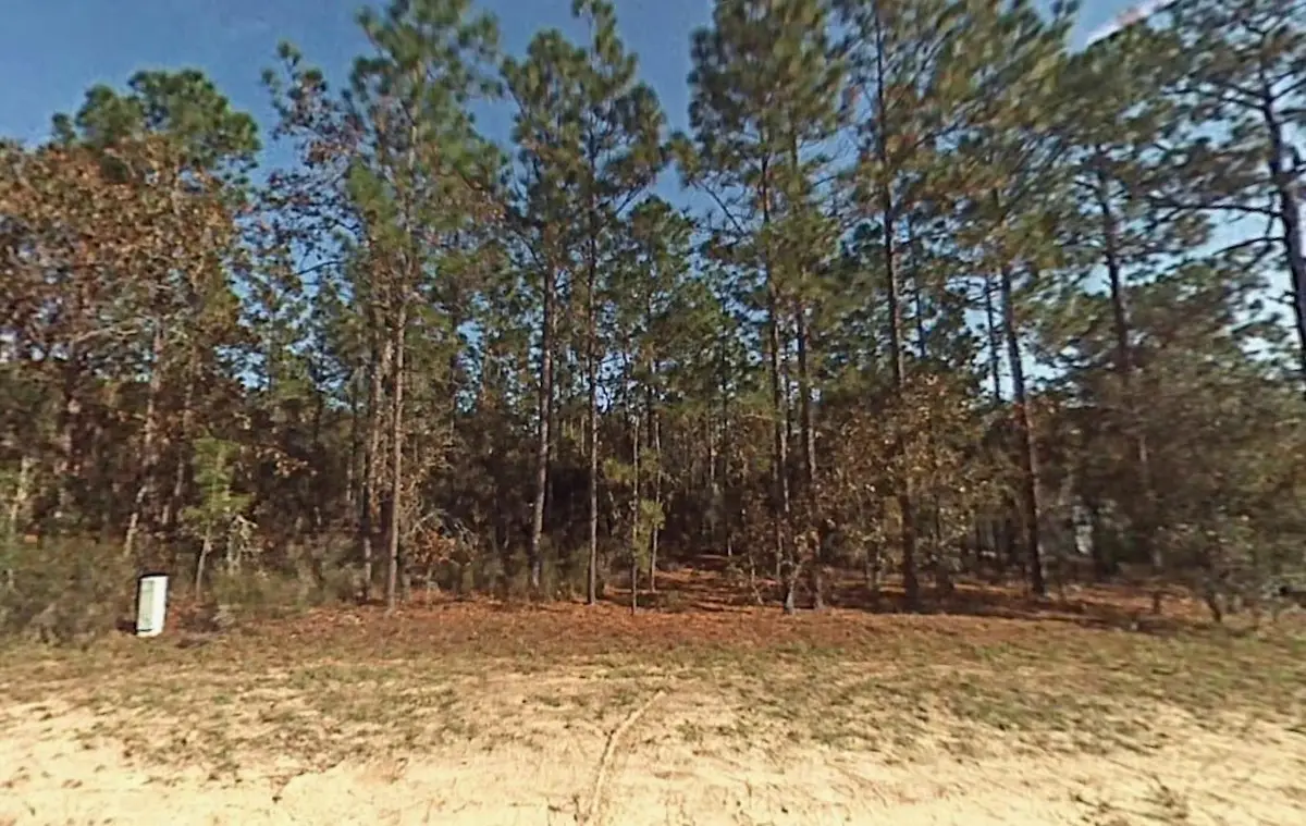 Tbd SW 166th Court Road, Ocala, FL 34432 - #1