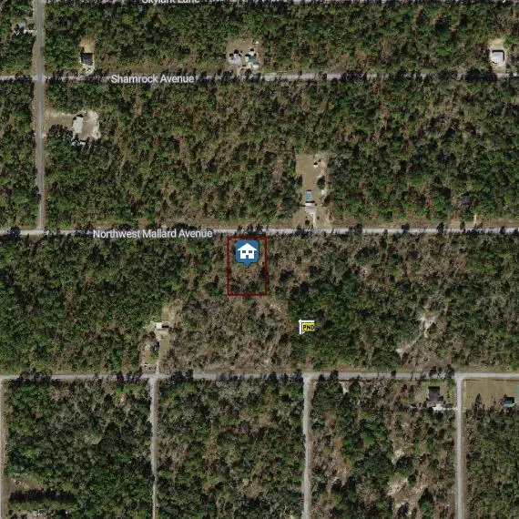 00000 NW Mallard Avenue, ,, FL 34431