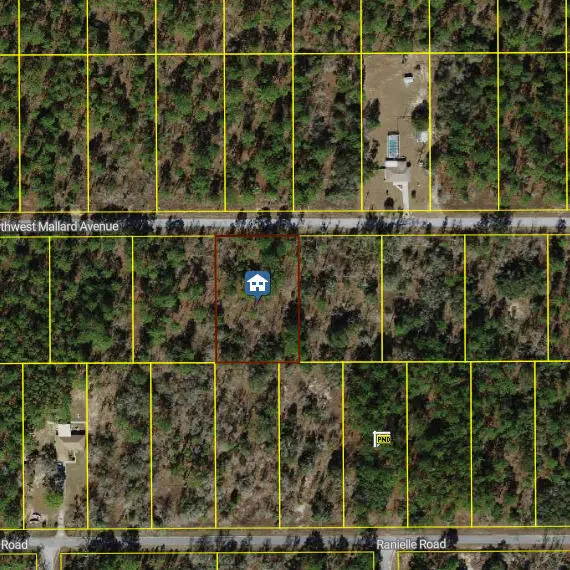 00000 NW Mallard Avenue, Rainbow Lakes Estates, FL 34431 - #2