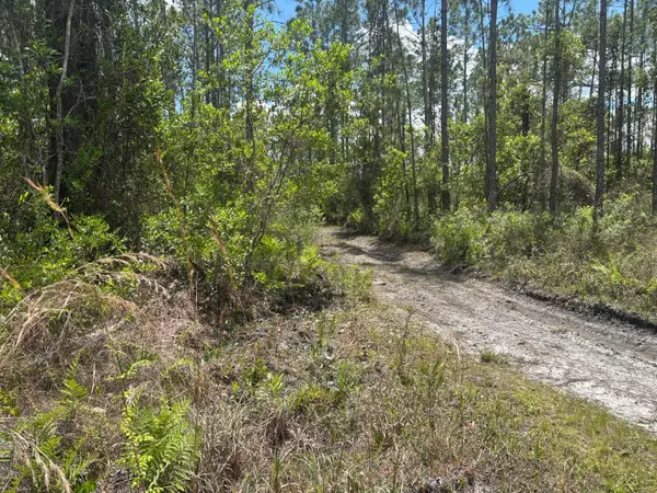 0 Holopaw Groves Road, ,, FL 34772