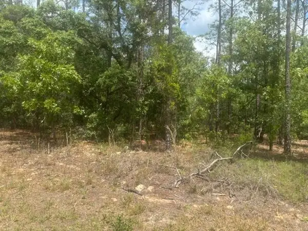 8593 N Bambury Terrace, ,, FL 34434
