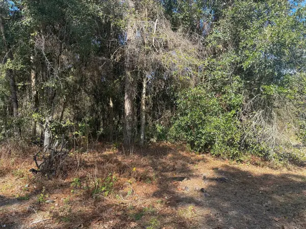 7178 W Wildfire Lane, ,, FL 34448