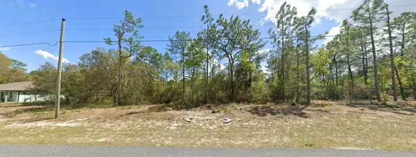9029 N Saponaria Drive, ,, FL 34433