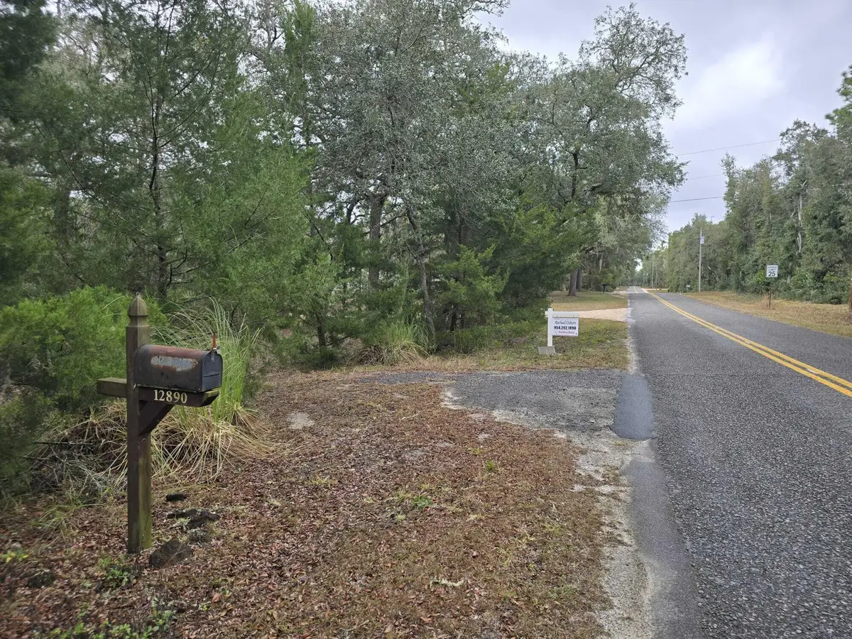 12890 NW 90th Avenue, Manatee Road, FL 32626 - #1