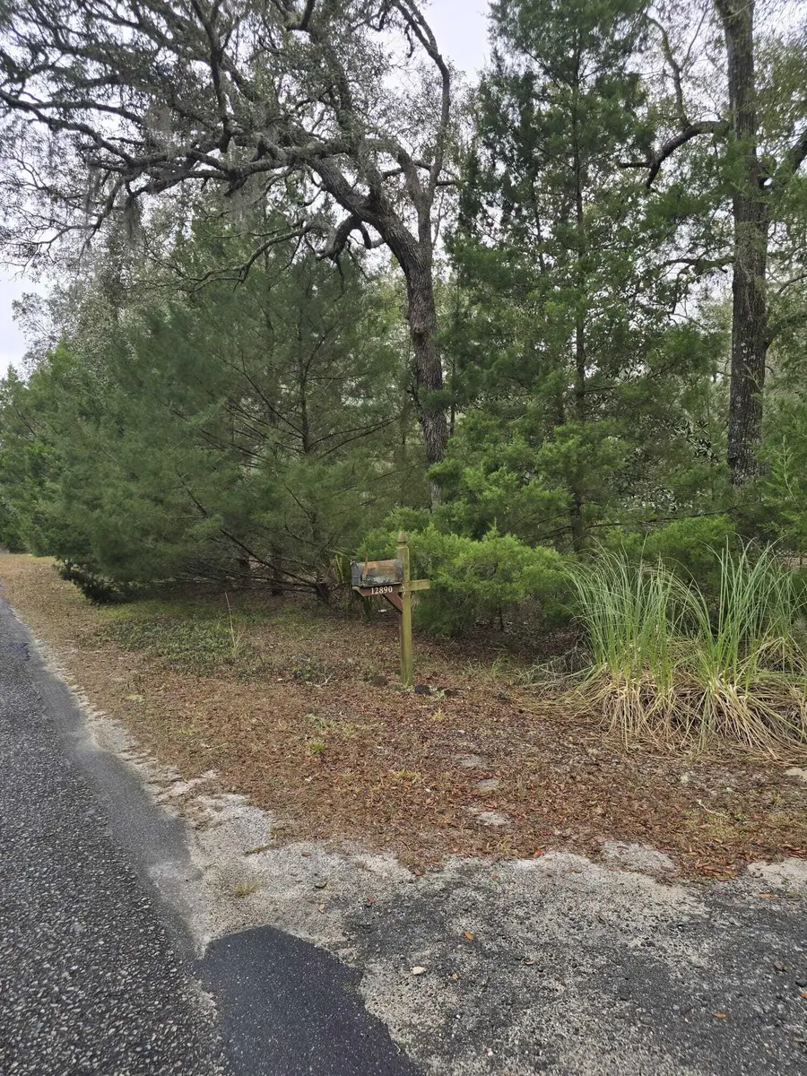 12890 NW 90th Avenue, Manatee Road, FL 32626 - #3