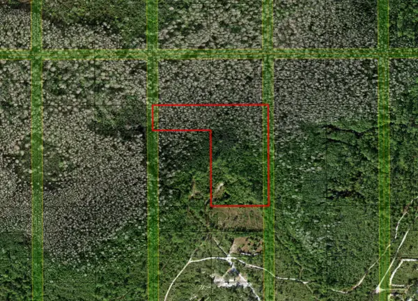 0 Holopaw Groves Road, ,, FL 34772