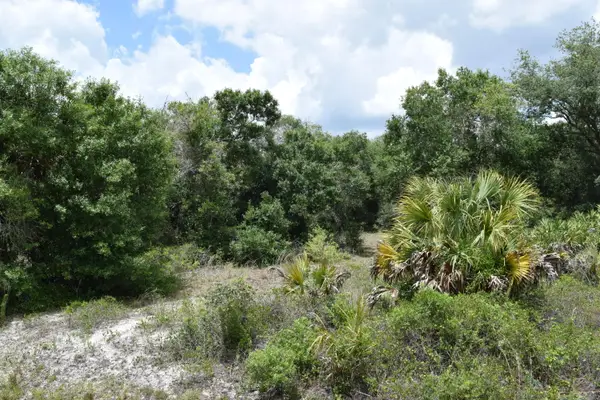 17119 NW 276th Street, Okeechobee, FL 34972