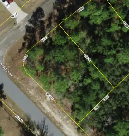 9239 N Marcus Way, Citrus Springs, FL 34433 - #1