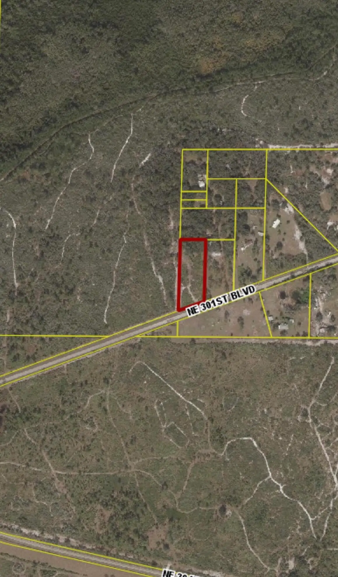 3349 NE 301st Boulevard, Okeechobee, FL 34972 - #1
