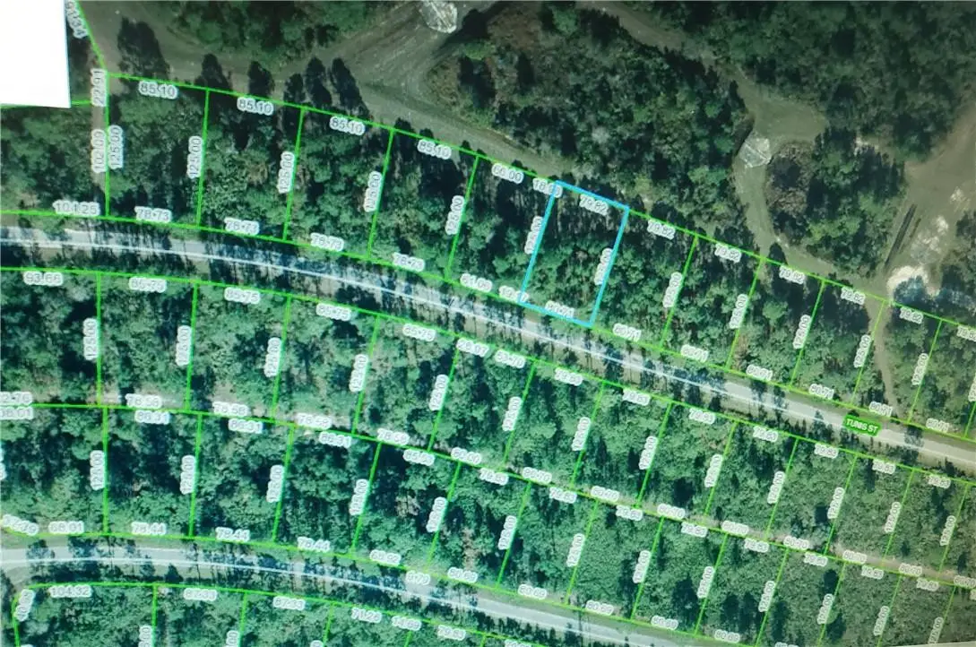 8644 Tunis Street, Sebring, FL 33872 - #1