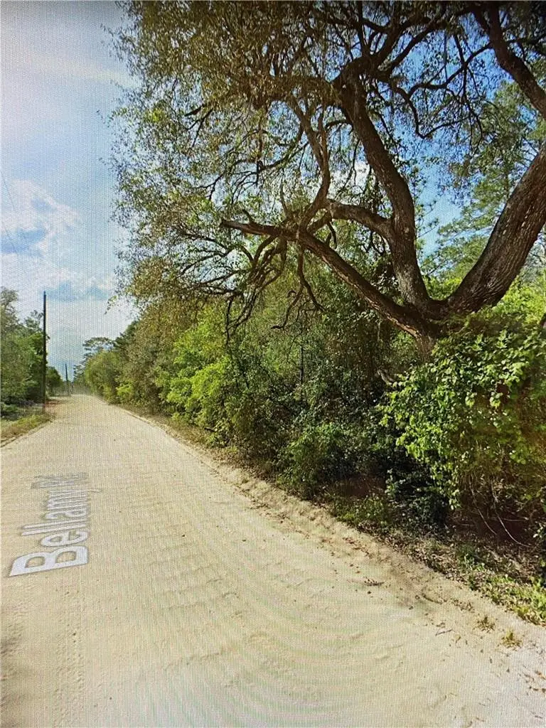 0000 Lone Pine Trail, Melrose, FL 32666 - #2