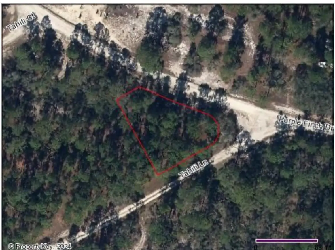 428 Tahiti Lane, Lake Placid, FL 33852 - #1