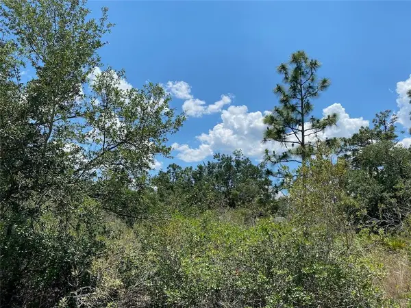 Lot 24 Indian Lake Drive, ,, FL 33855