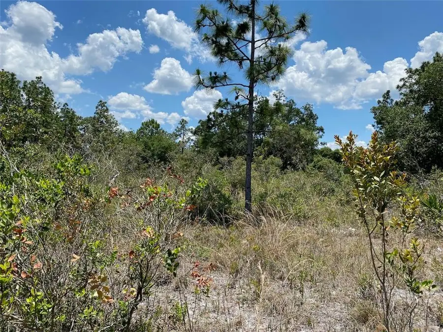 Lot 24 Indian Lake Drive, Indian Lake Estates, FL 33855 - #2