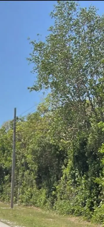 167th & Card Sound Road, Homestead, FL 33035