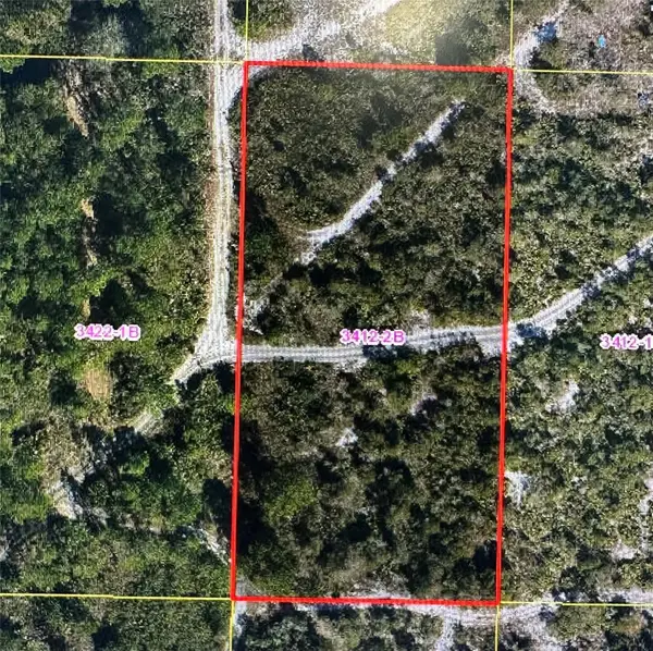 0 Holopaw Groves Road, ,, FL 34771