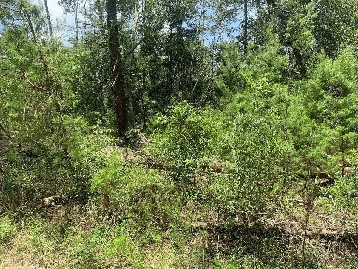 111 New York Avenue, Interlachen Florahome, FL 32148 - #1