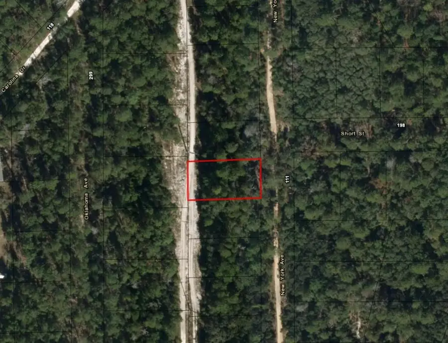 111 New York Avenue, Interlachen Florahome, FL 32148 - #2