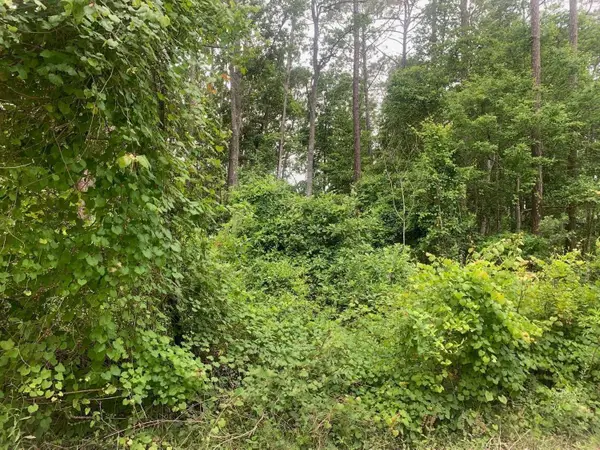 123 Coot Road, ,, FL 32189