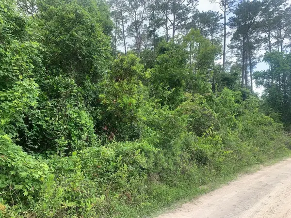 0 Coot Drive, ,, FL 32189