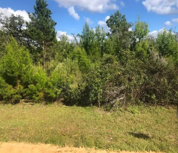 204 Usina Avenue, ,, FL 32148