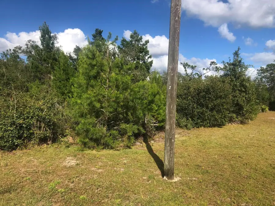 204 Usina Avenue, Interlachen Florahome, FL 32148 - #2
