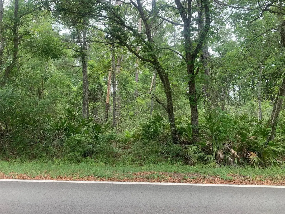 0 Theresa Avenue, Interlachen Florahome, FL 32148 - #1