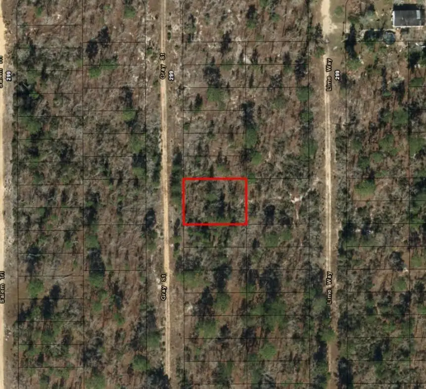 0 Gray Street, Interlachen Florahome, FL 32148 - #2