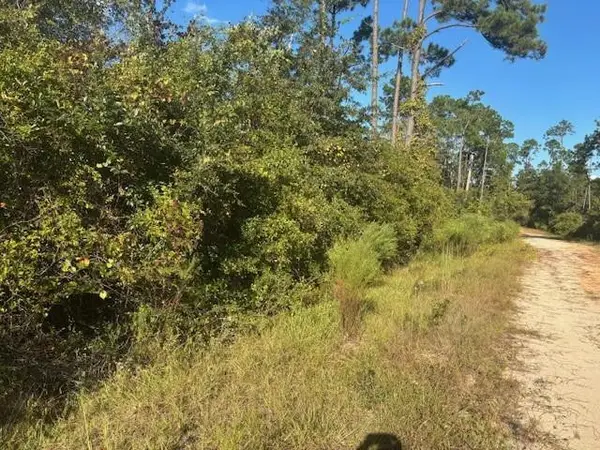 0 Mulberry Drive, ,, FL 32448