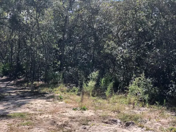 0 Maine Avenue, ,, FL 32148