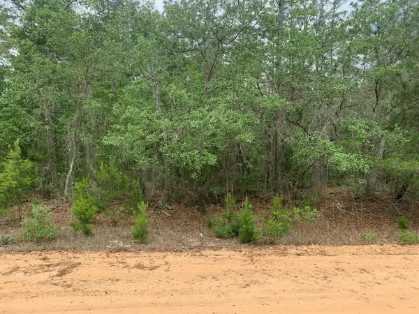0 David Avenue, ,, FL 32148