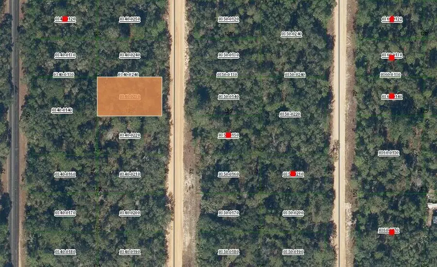 0 David Avenue, Interlachen Florahome, FL 32148 - #2