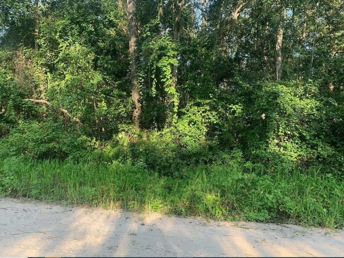 0 Ida Boulevard, Interlachen Florahome, FL 32148 - #1