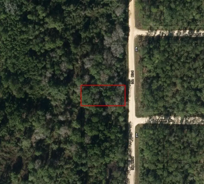 0 Ida Boulevard, Interlachen Florahome, FL 32148 - #2
