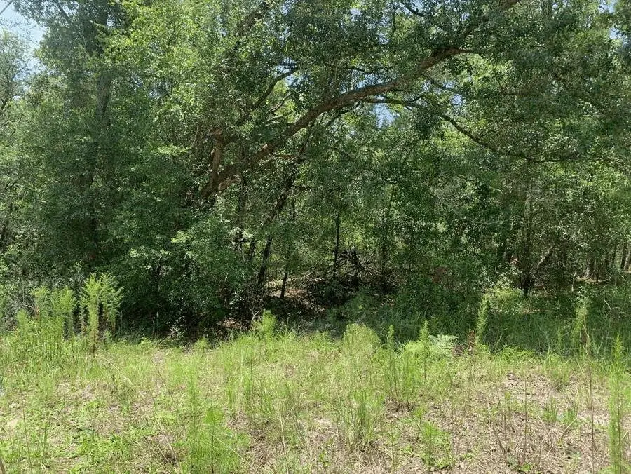 0 Oklahoma Avenue, Satsuma, FL 32189 - #1
