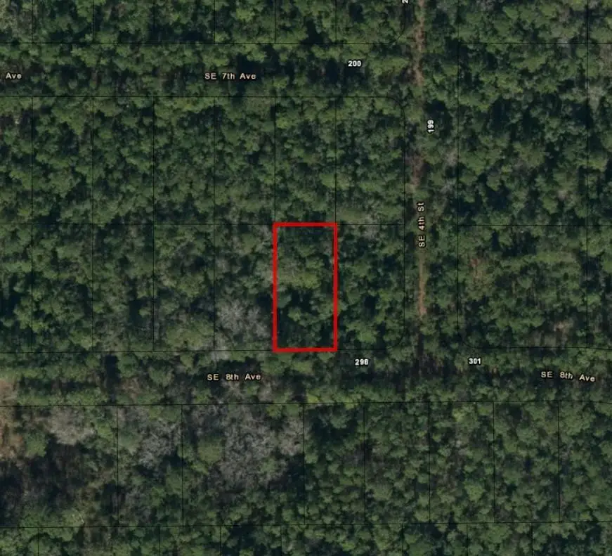 224 SE 8th Avenue, Palatka, FL 32177 - #3