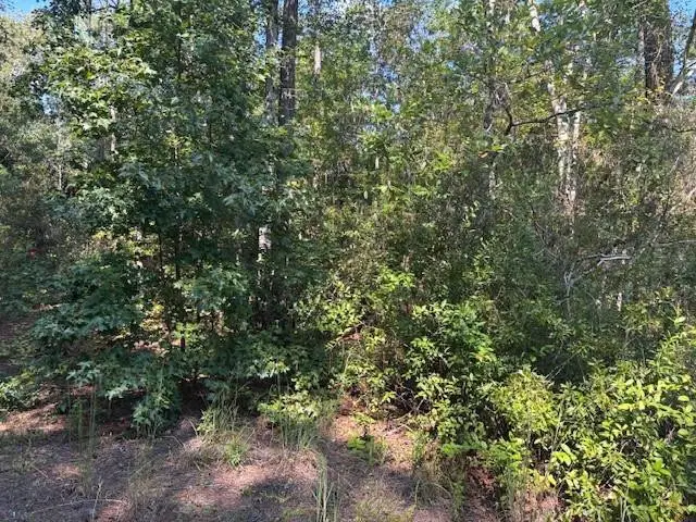 0 SE 8th Avenue, Palatka, FL 32177 - #1