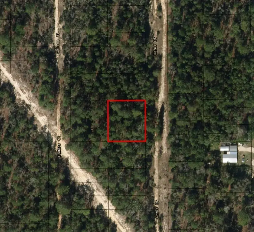 0 Citrus Street, Interlachen Florahome, FL 32148 - #2