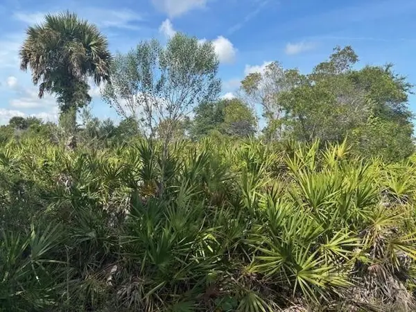 0 NW 310th Street, Okeechobee, FL 34972