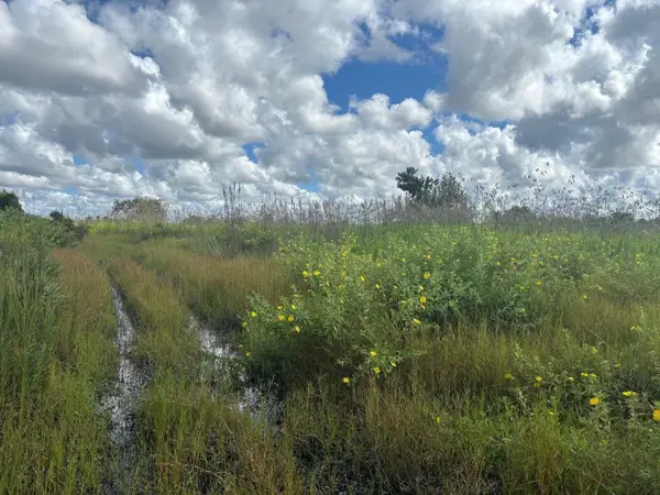 0 NW 316th Street, Okeechobee, FL 34972