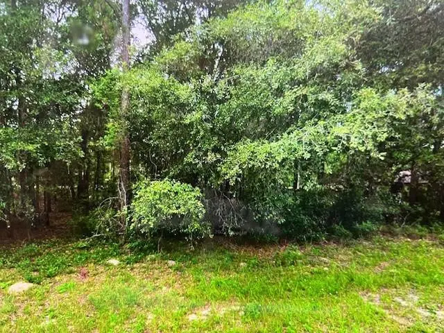 9550 N Quarry Drive, Citrus Springs, FL 34434 - #2