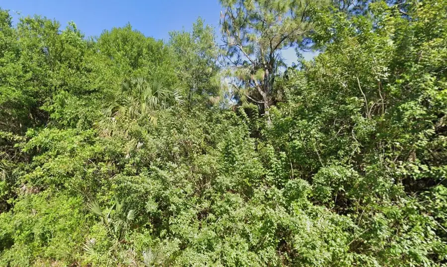 4702 Vera Avenue, Lehigh Acres, FL 33971 - #3