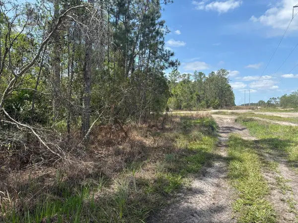 0 Holopaw Groves Road, ,, FL 34772