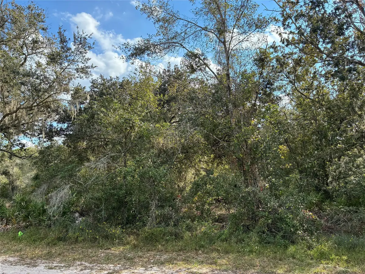2521 Plumosa Drive, Indian Lake Estates, FL 33855 - #1