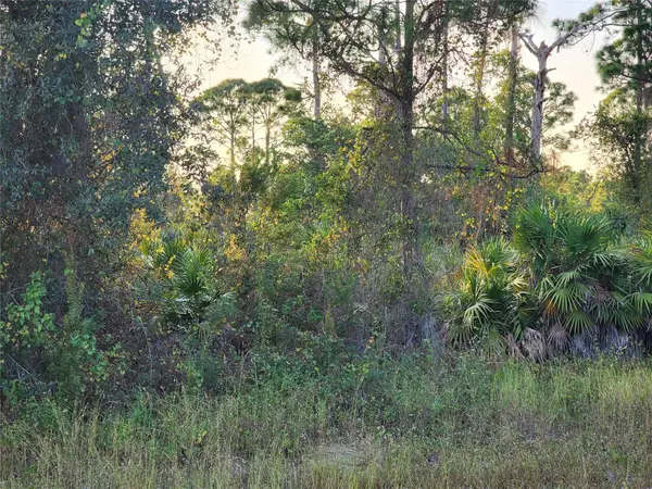 842 Genoa Avenue, Lehigh Acres, FL 33974