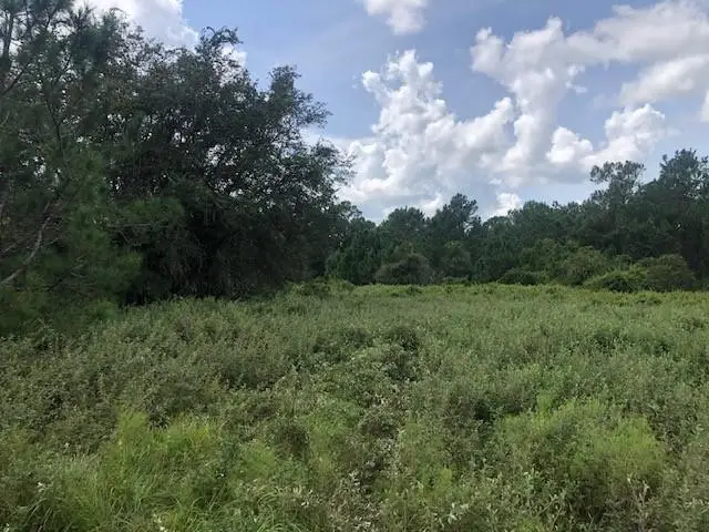 0 Old Grade Road, Polk City, FL 33868 - #1