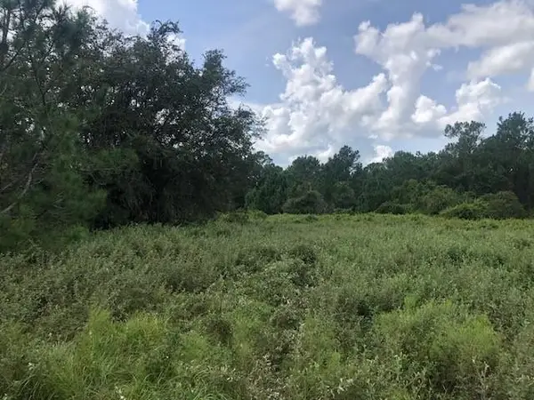 0 Old Grade Road, ,, FL 33868
